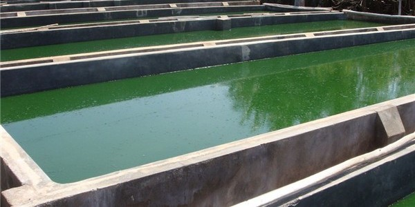 開敞式矩形混凝土消防水池蓄水池滲漏水維修的結(jié)構(gòu)特點